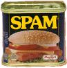 spam